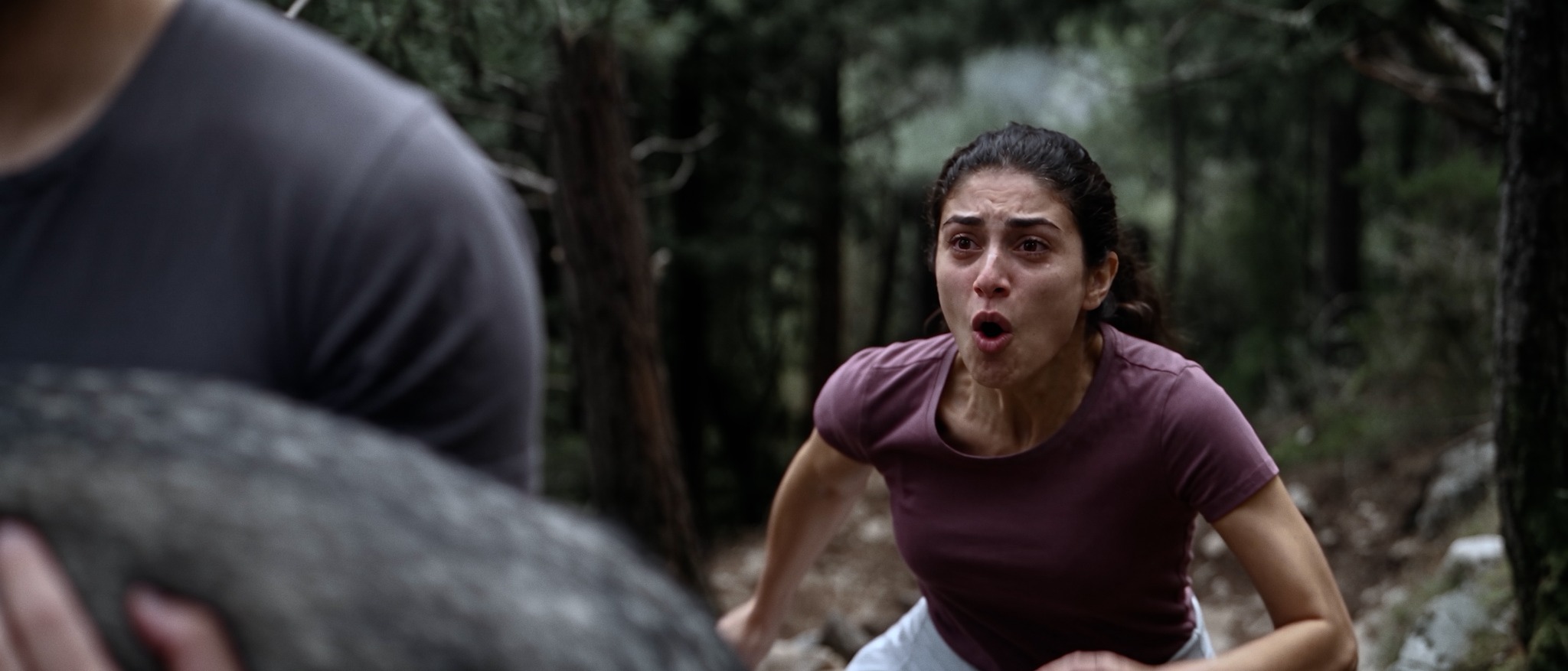A cinematic scene from KODA